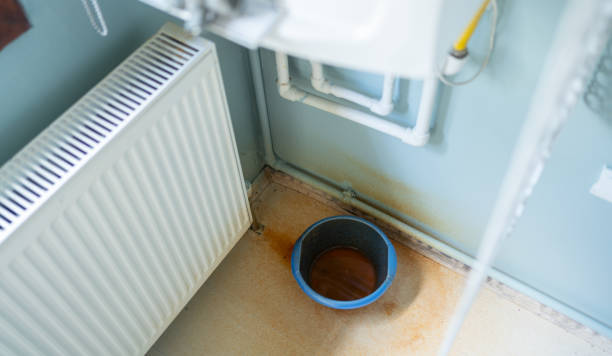 Best Water damage cleanup near me  in Burke Centre, VA