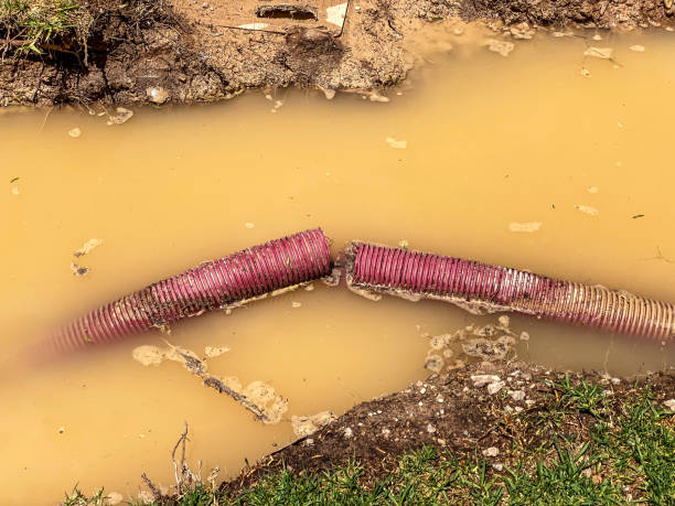 Best Flood damage cleanup  in Burke Centre, VA