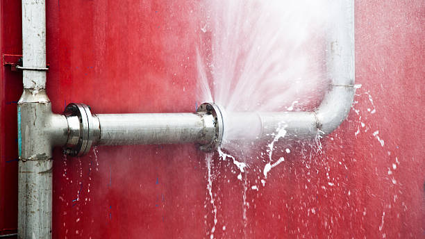 Best Mold removal after water damage  in Burke Centre, VA