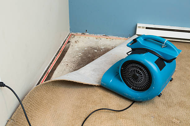 Best Water damage restoration insurance claims  in Burke Centre, VA